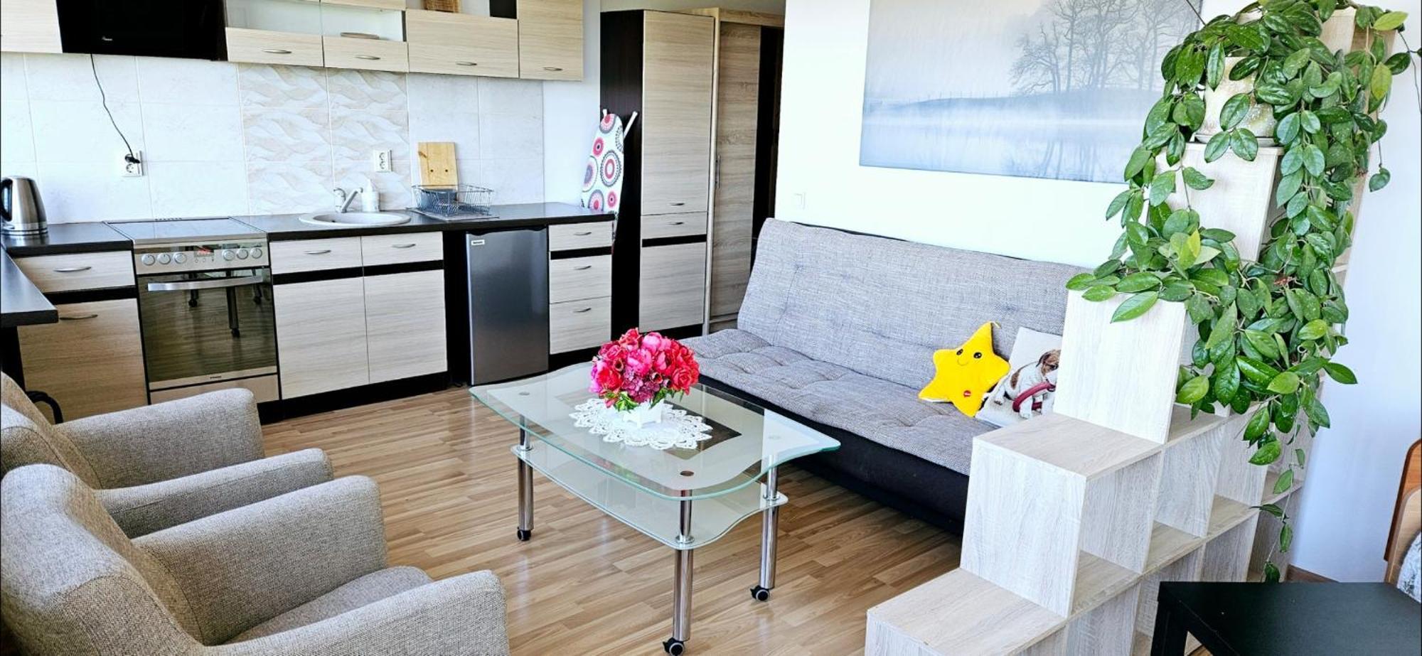Veziu 10 Apartment Palanga Ngoại thất bức ảnh